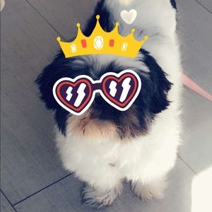 Meet your Posher, Yael